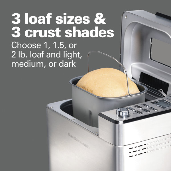 Hamilton Beach Premium Dough Bread Maker & Reviews Wayfair